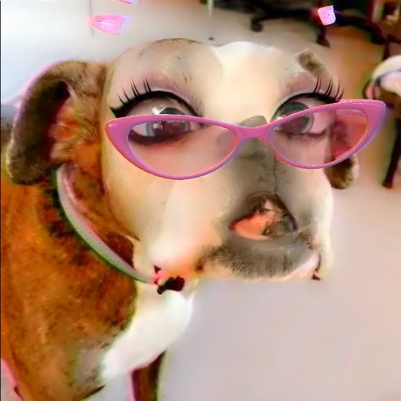 Meet your Posher, Jacqueline - Picture 2 of 3